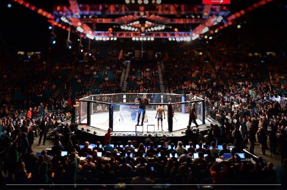UFC 322 at Madison Square Garden VIP Hospitality Experience by MA Hospitality Group