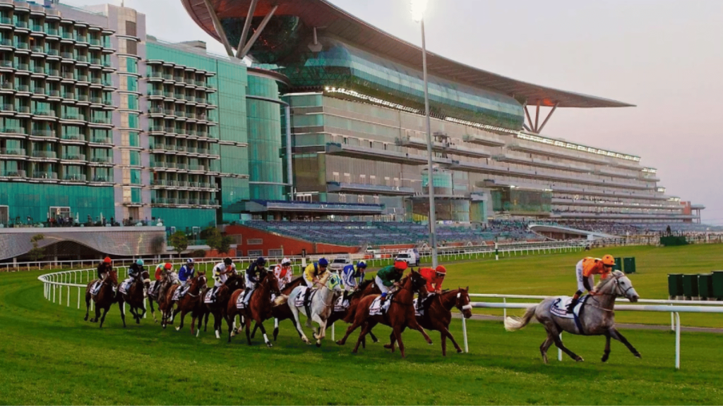 Dubai World Cup 2027 VIP tickets and hospitality at Meydan Racecourse