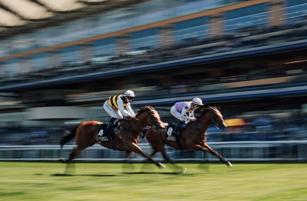 Horse racing hospitality and VIP race-day experience