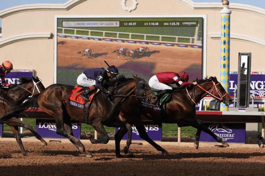 The Breeders’ Cup Classic 2026 brings together leading American dirt horses and international challengers.