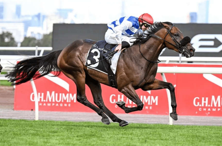 Whisky On The Hill is the winner of the Lexus Roy Higgins