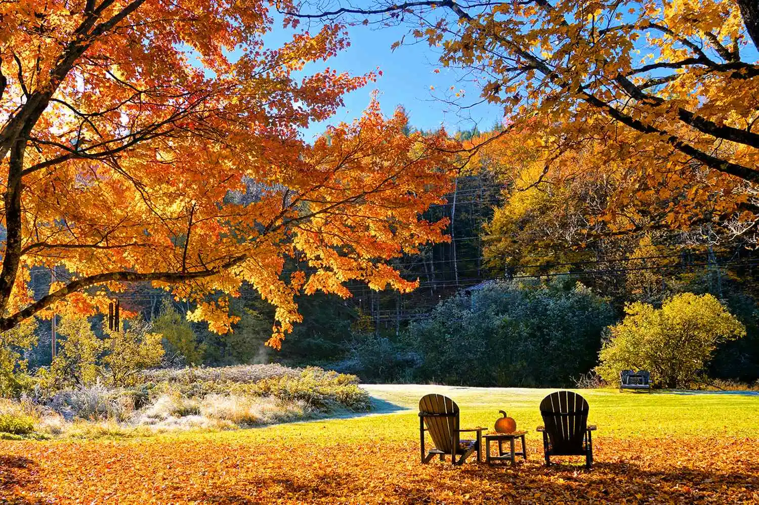 8 best places to see fall foliage around the world