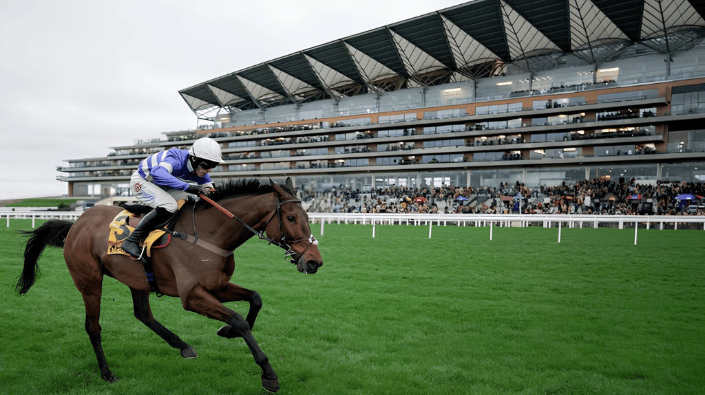 Royal Ascot 2027: VIP Tickets & Hospitality