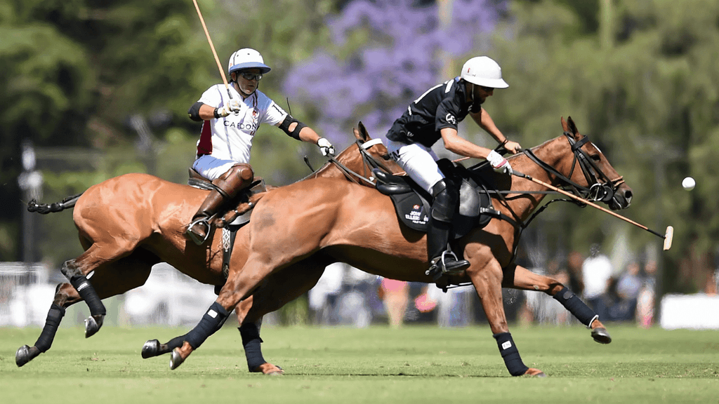 Argentine Open Polo Championship 2026: Exclusive VIP Tickets